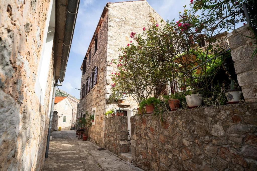 Apartman Skala With Hot Tub & Kala With Terrace Pitve